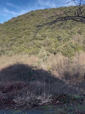 Maison de village - 200 m² - 6 pièces