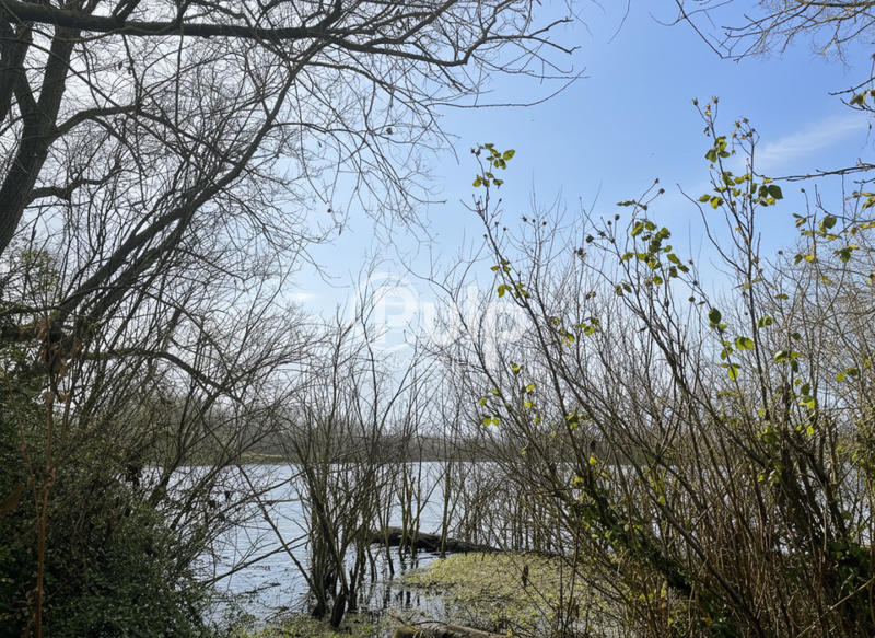 Châlet - 35 m² - 4 pièces