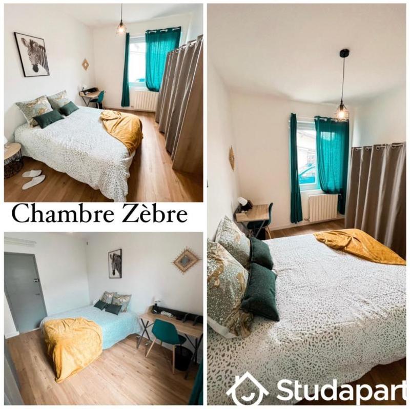 Chambre - 13 m² - 1 pièce