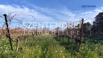 Terrain agricole - 22 595 m²