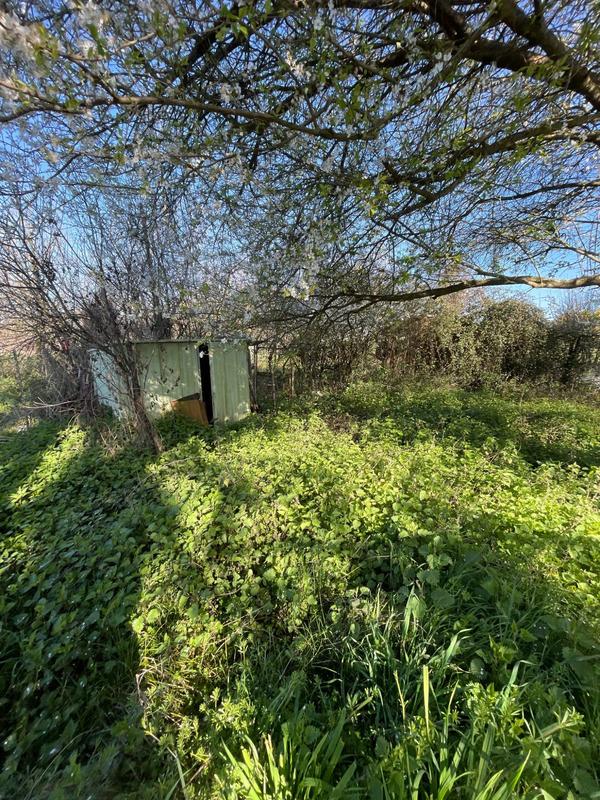 Maison - 150 m² - 1 pièce