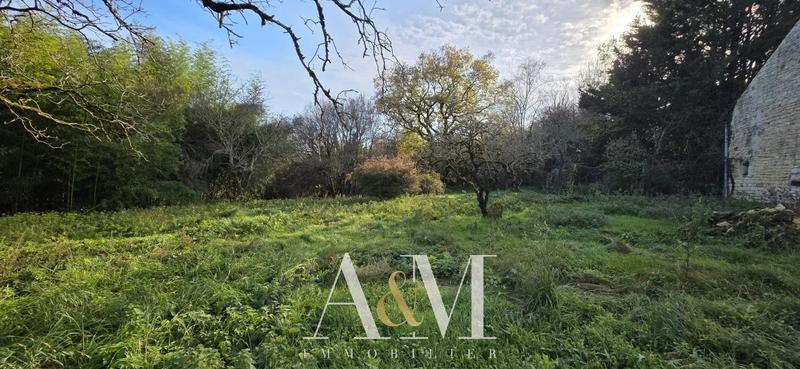 Maison de village - 126 m² - 5 pièces