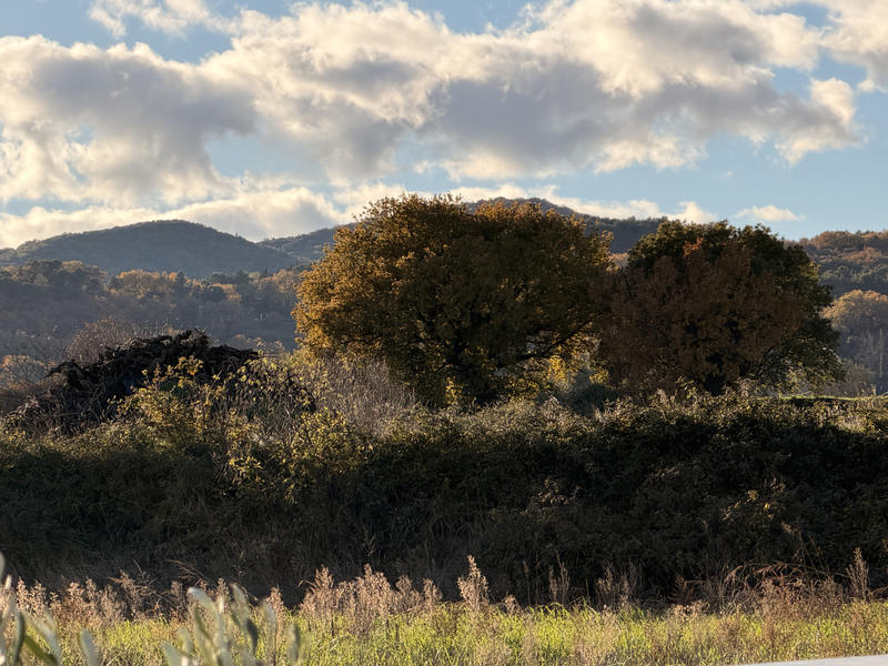 Villa - 158 m² - 7 pièces