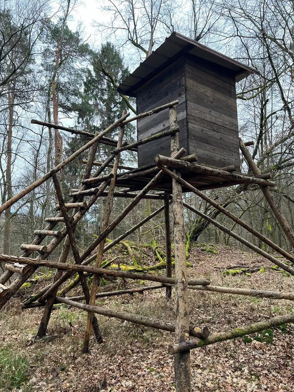 Châlet - 70 m² - 2 pièces