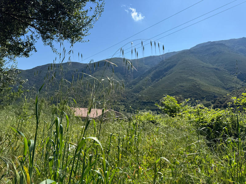 Terrain constructible - 623 m²