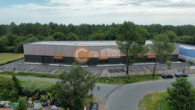 Local d'activité / Entrepôt - 1 662 m²