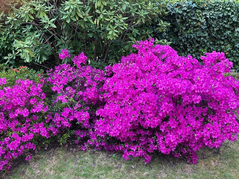 Maison - 190 m² - 7 pièces