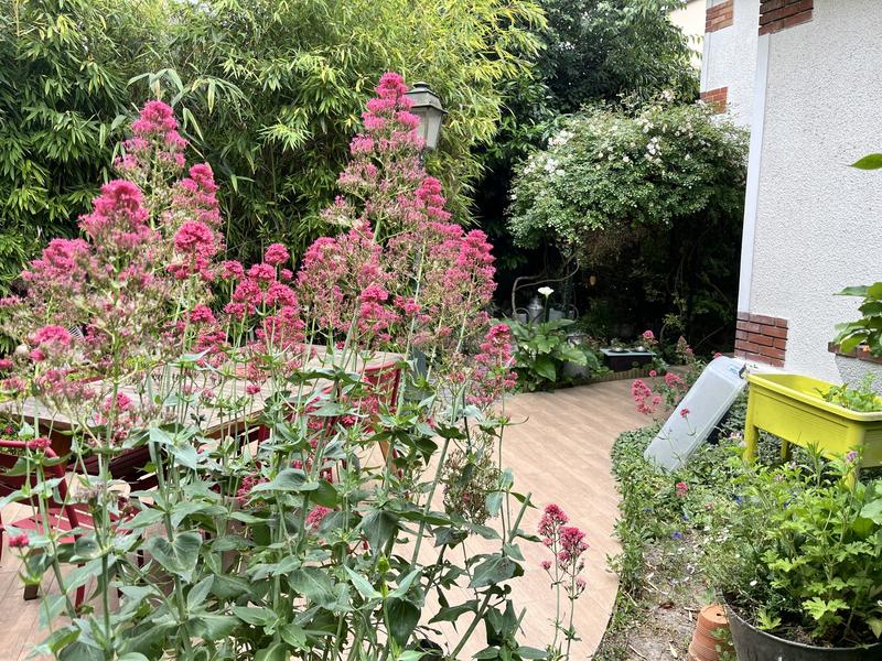 Maison ancienne - 160 m² - 8 pièces