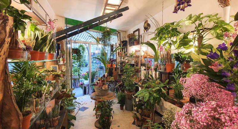 Fonds de commerce - Magasins - 39 m²