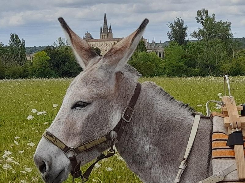 Sortie Yogânes à Bazas