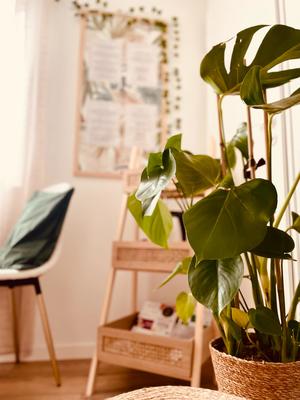 Wild Side Institut Spa