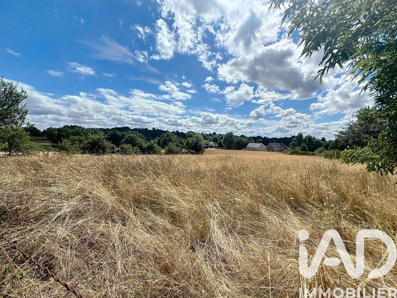 Ferme - 60 m² - 1 pièce