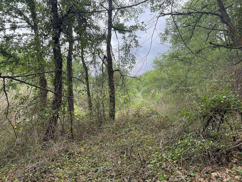 Terrain - 25 400 m²