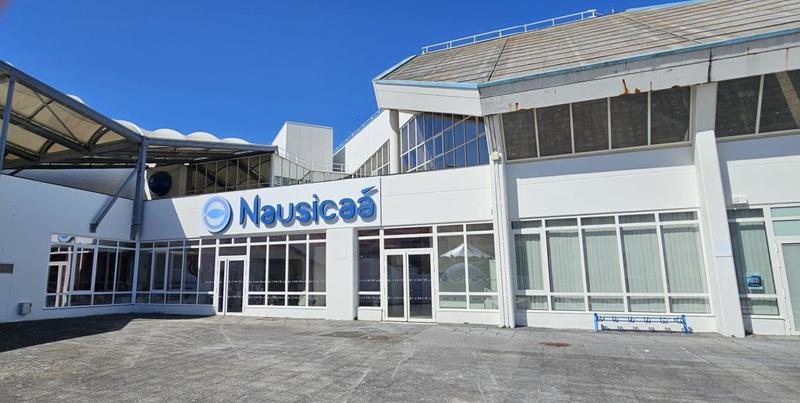 Appartement - 20 m² - 2 pièces