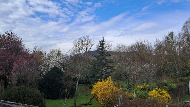 Maison en pierre - 150 m² - 8 pièces