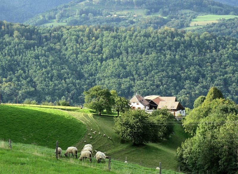 Balade commentée : "Sur les pas des Amish"