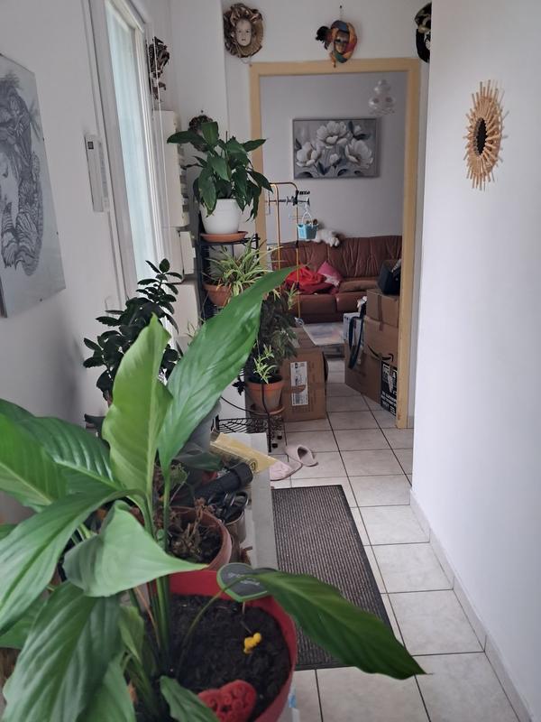 Maison - 40 m² - 3 pièces