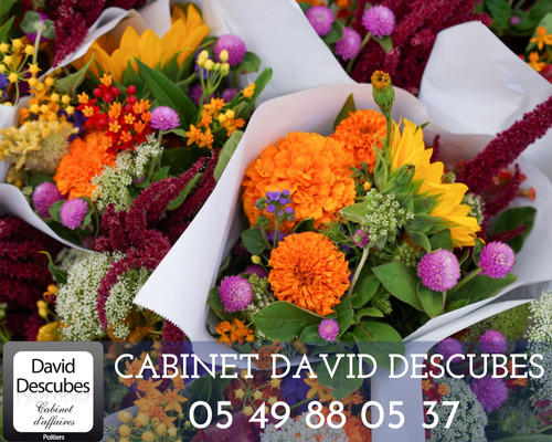 Fonds de commerce - Local commercial - 100 m²