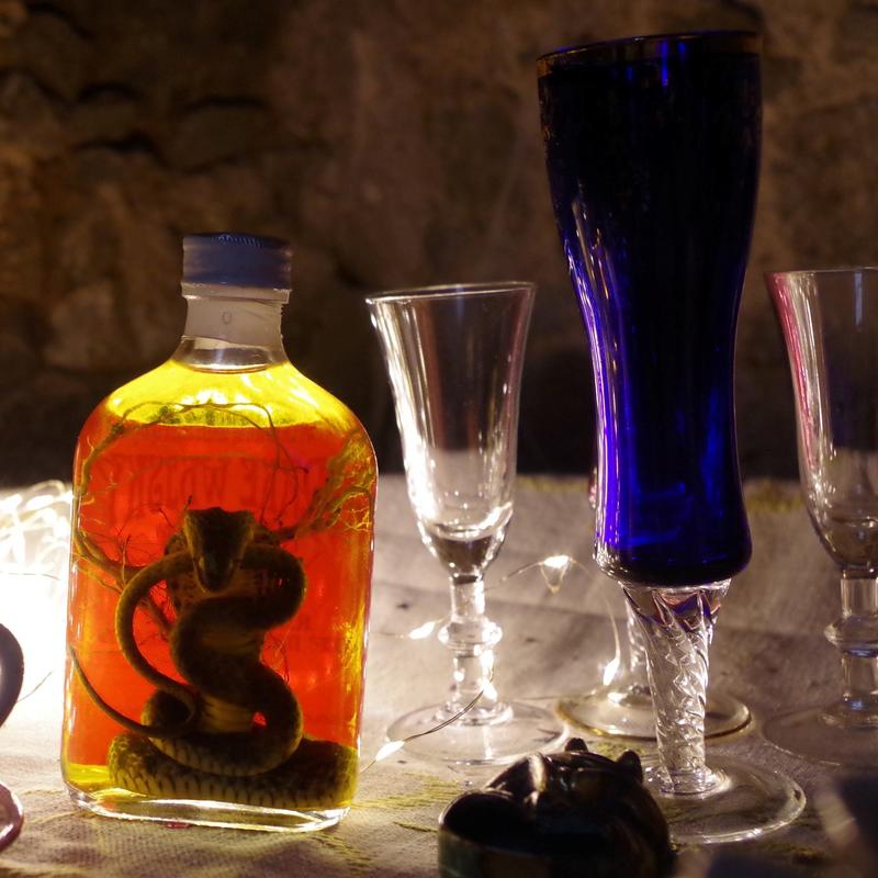 Château de Saint Mesmin - Landscape game: en quête de la pierre philosophale