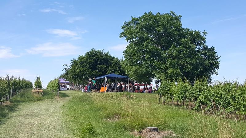 22ème Randonnée gourmande Ottrottoise