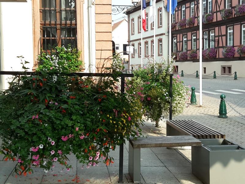 Visite guidée du patrimoine de Lauterbourg