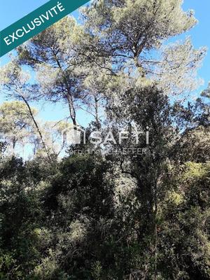 Terrain agricole - 4 470 m²