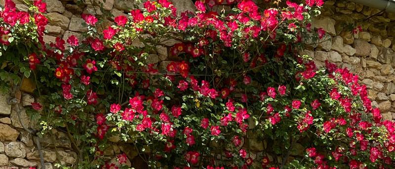 Maison - 196 m² - 9 pièces