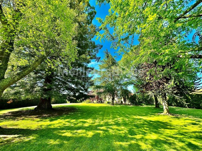 Maison - 275 m² - 9 pièces