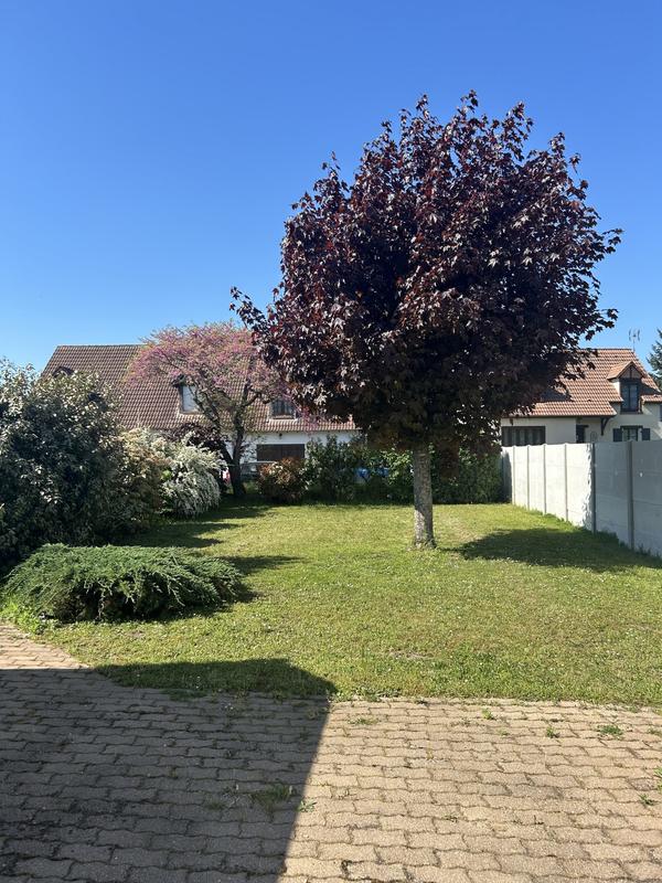 Maison ancienne - 115 m² - 6 pièces