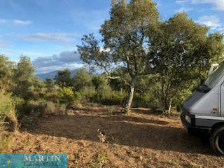 Terrain - 31 975 m²