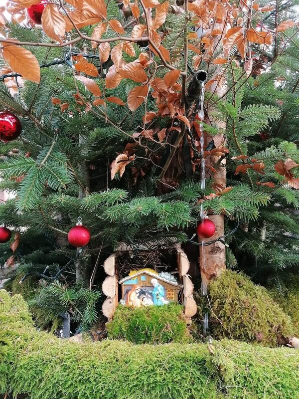 Chasse aux trésors de Noël : le lutin pétillant et la sauce de Kientzheim