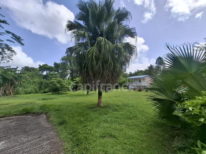 Immeuble - 334 m² - 17 pièces