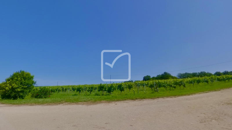 Maison - 250 m² - 17 pièces