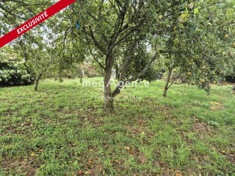 Maison en pierre - 77 m² - 4 pièces