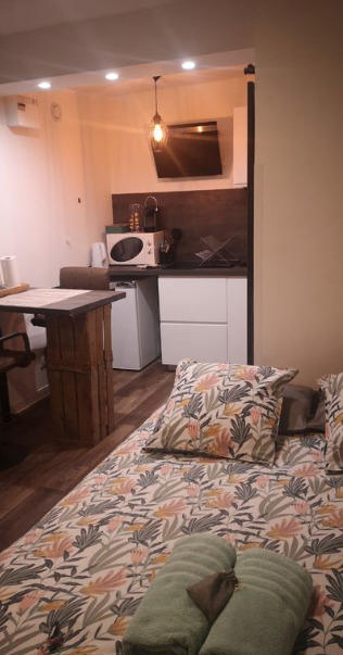 Studio - 18 m² - 1 pièce