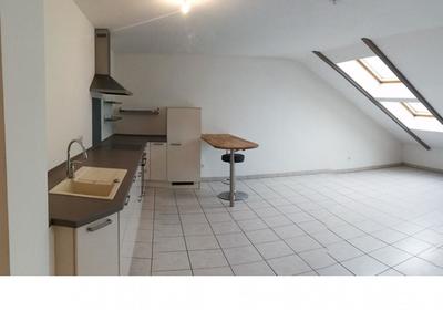 Appartement - 51 m² - 2 pièces