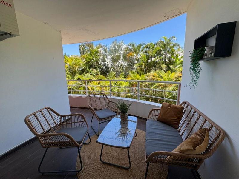 Studio - 30 m² - 1 pièce