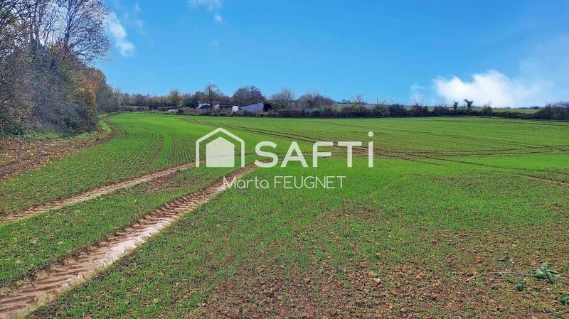 Terrain - 12 700 m²