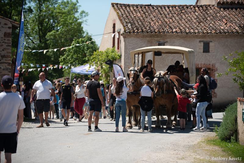Festival les imPrO'bables