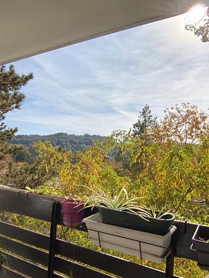 Appartement - 90 m² - 5 pièces