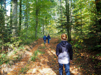 Balade ludique Randoland à Ferrette