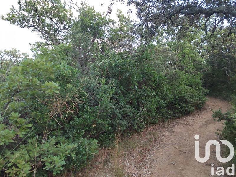 Terrain agricole - 2 100 m²