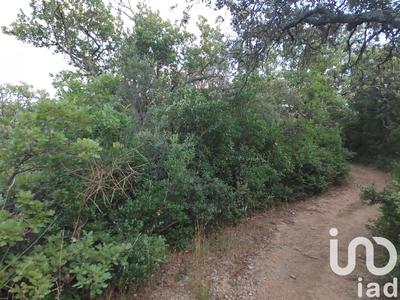 Terrain agricole - 2 100 m²