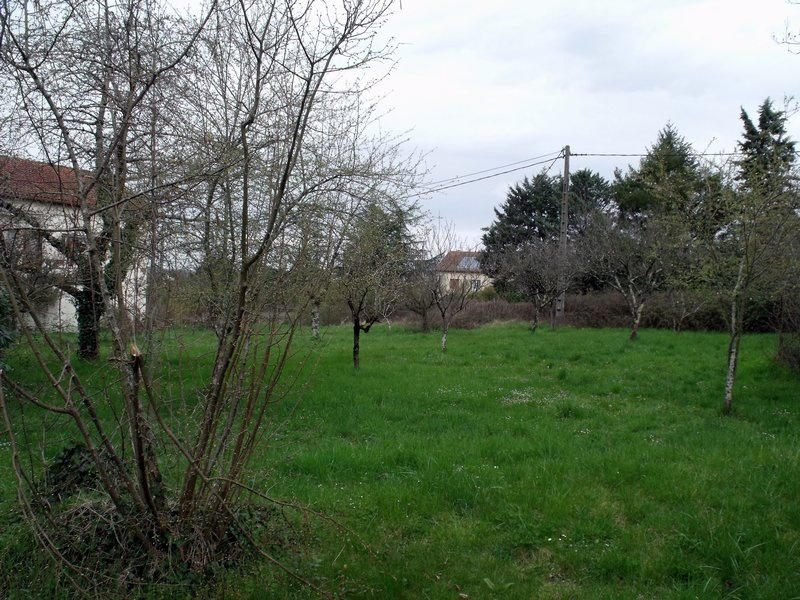 Terrain - 1 250 m²