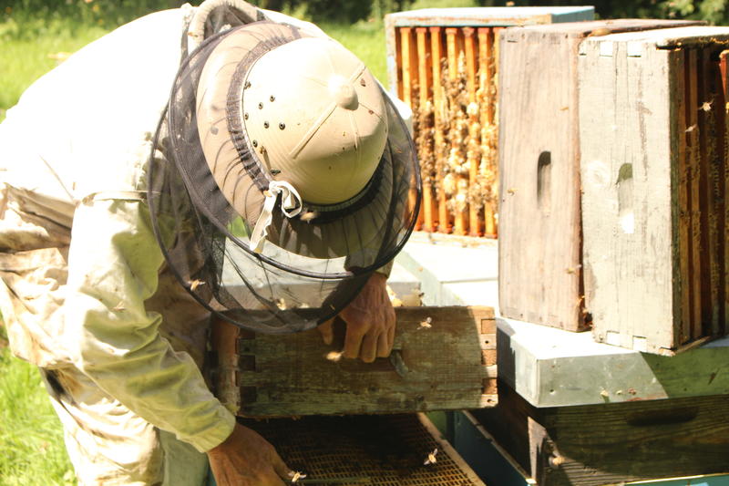 Miellerie des Délices au Miel