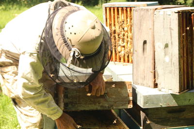 Miellerie des Délices au Miel