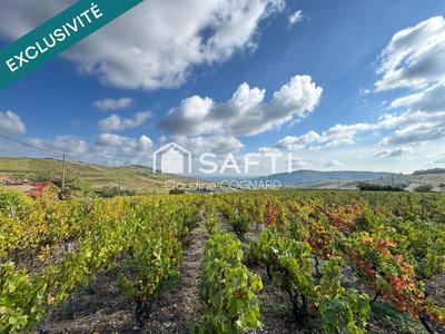 Maison - 101 m² - 5 pièces