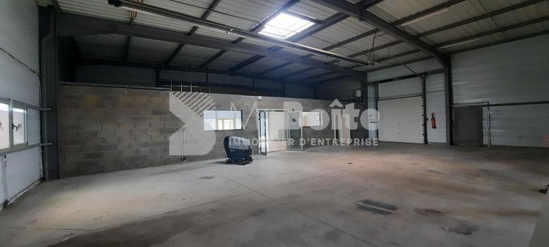 Entrepôt - 282 m² - 6 pièces