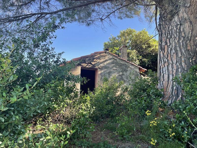 Terrain - 24 000 m²