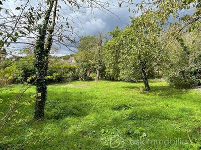 Maison en pierre - 140 m² - 6 pièces